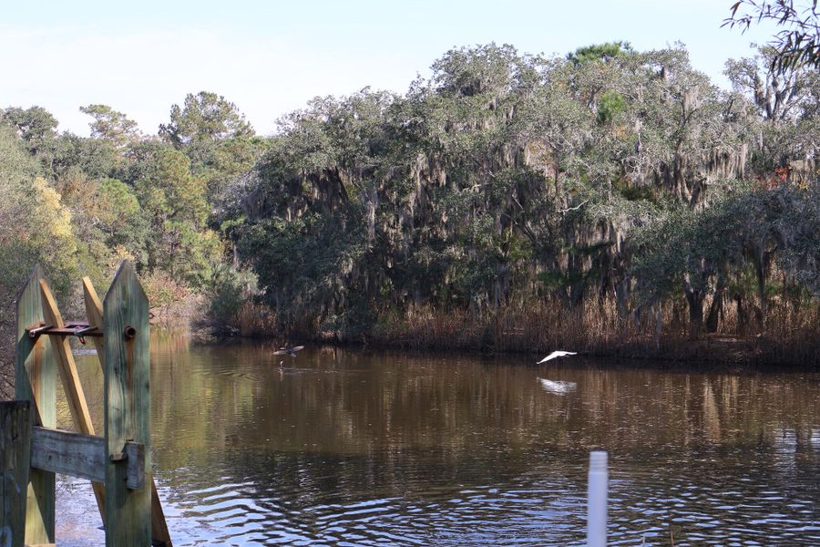 Natural landscape and outdoor views near Discover Series in Charleston (Image 16).
