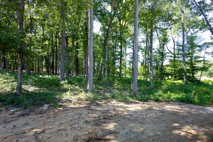 Natural landscape and outdoor views near Woodland Farms in Dickson (Image 26).