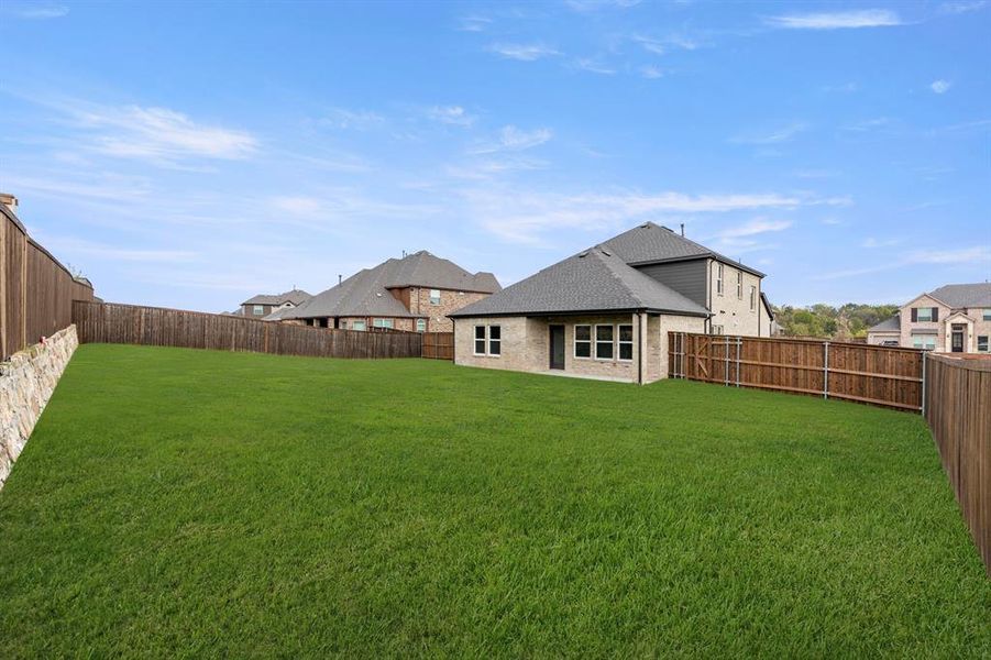 27. 924 Gold Finch - Back (2)