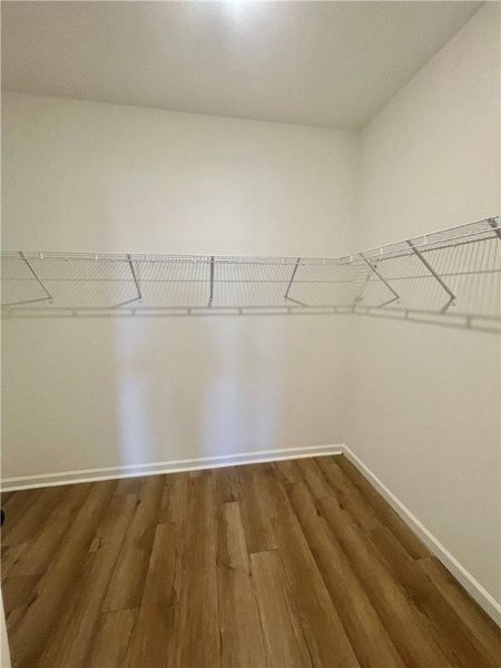 Spacious, unfurnished interior of a new home in Springwood Grove, Central (Image 17).