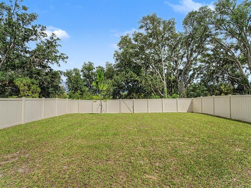 Exterior details and patio area of a home in , Spring Hill (Image 25). Exterior details and patio area of a home in , Spring Hill (Image 25).