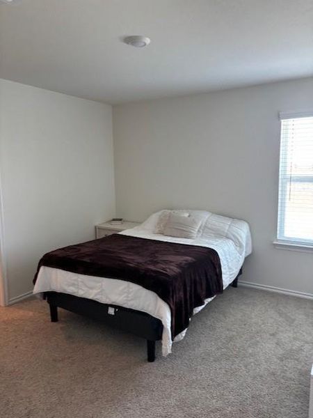 Carpeted room with a single window and white blinds, featuring light-toned walls and a ceiling-mounted light fixture