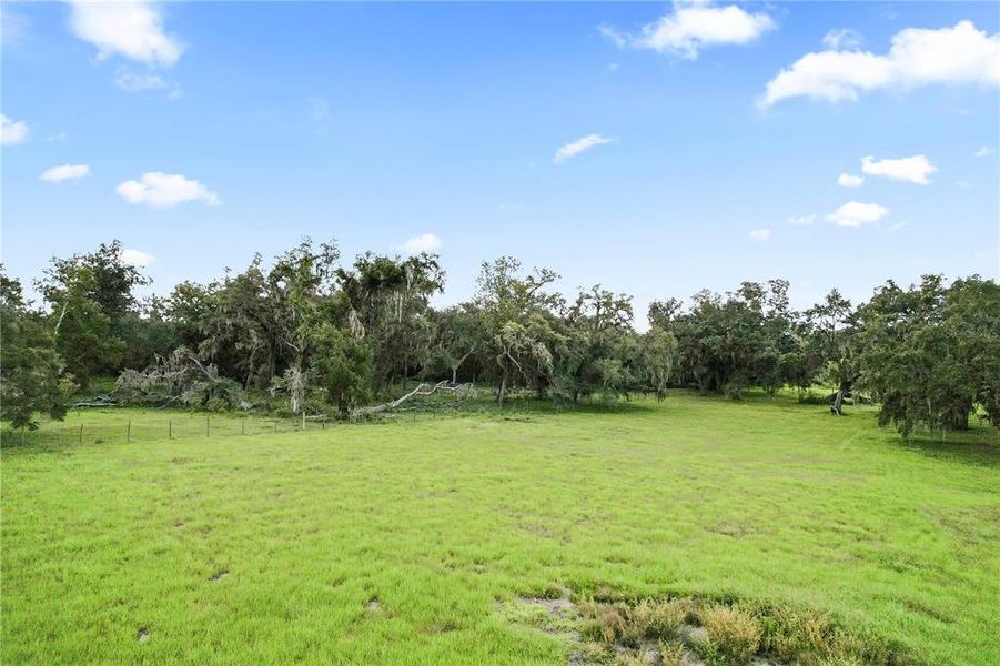 Natural landscape and outdoor views near  in Dade City (Image 18).