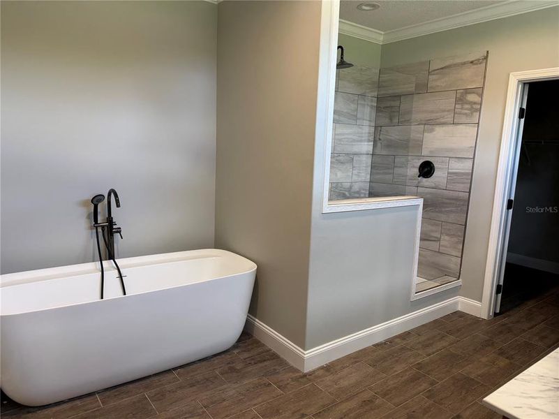 Furnished interior view inside a new home in , Live Oak (Image 8).