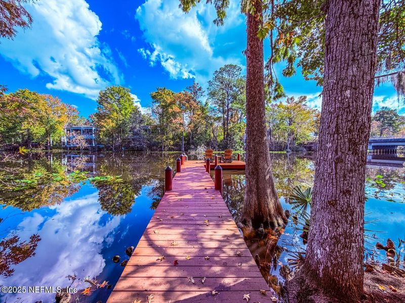 Natural landscape and outdoor views near  in Jacksonville (Image 60).