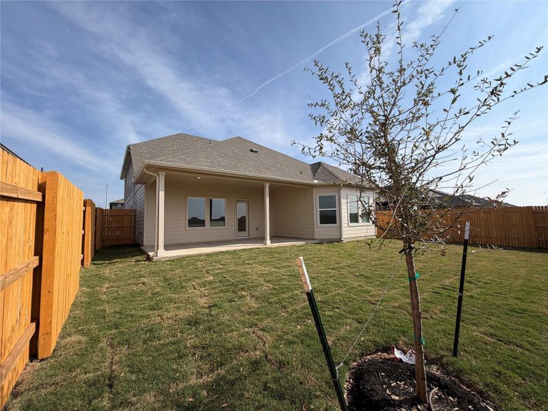Rear view of house with a fenced backyard, a patio area, and roof with shingles