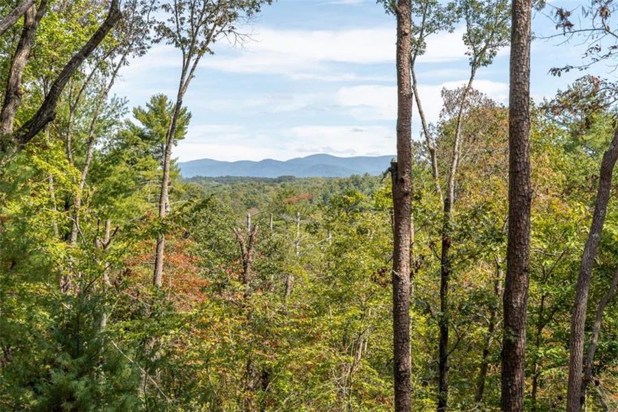 Natural landscape and outdoor views near  in Ellijay (Image 72).