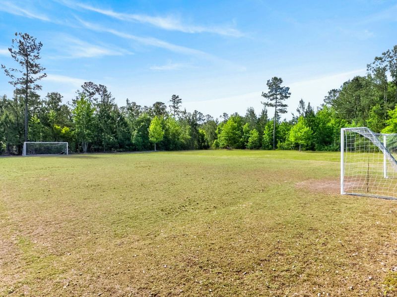 Natural landscape and outdoor views near Bradford Pointe in Summerville (Image 51).