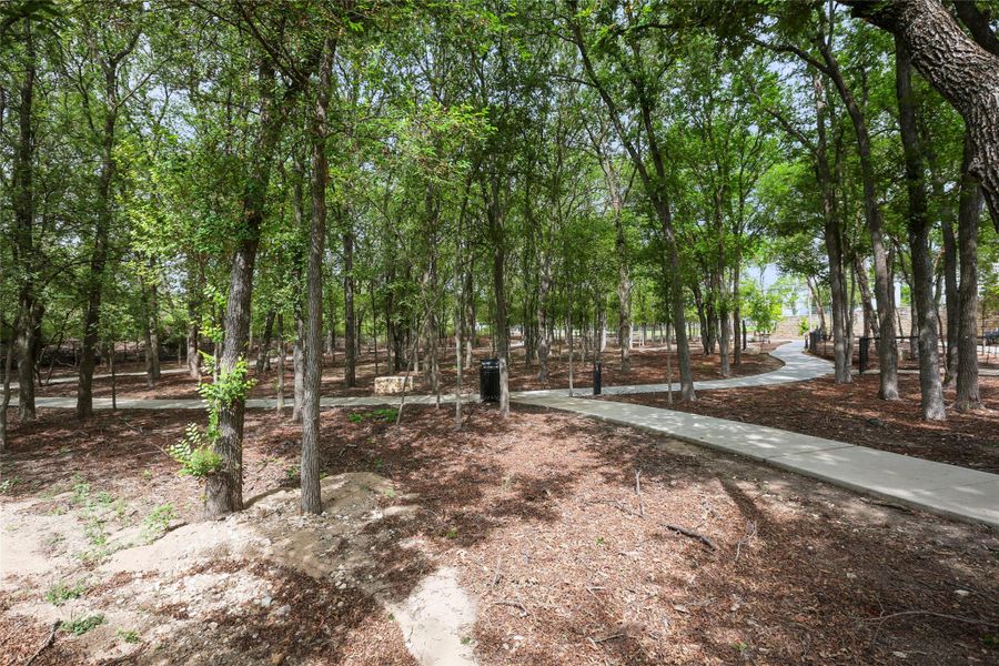 Natural landscape and outdoor views near  in Austin (Image 17).