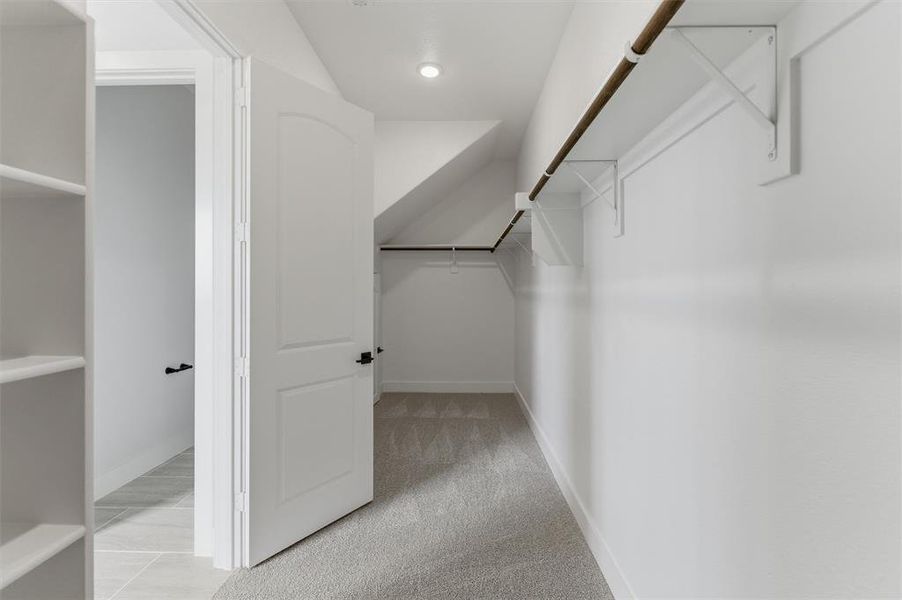 Walk in closet featuring light carpet