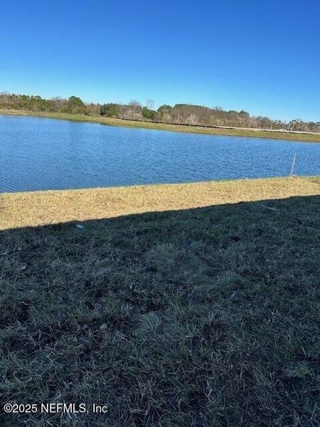 Natural landscape and outdoor views near Rookery in Green Cove Springs (Image 30).