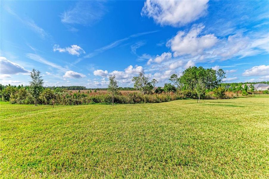 Natural landscape and outdoor views near Two Rivers in Zephyrhills (Image 40). Natural landscape and outdoor views near Two Rivers in Zephyrhills (Image 40).