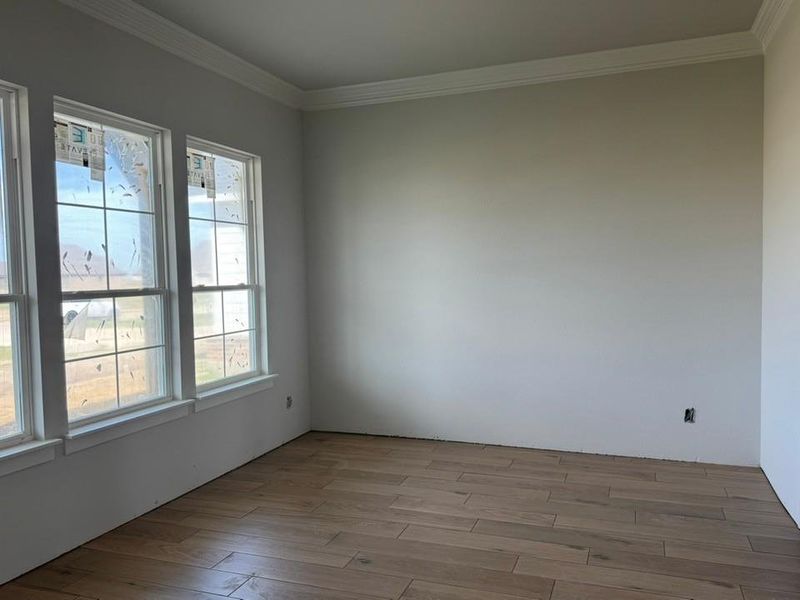 Unfurnished room with light wood-style flooring and crown molding