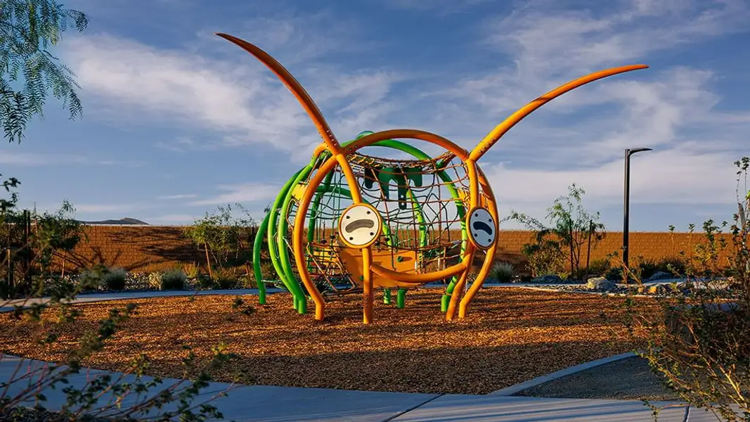Community amenities in Verdin, Phoenix (Image 28).