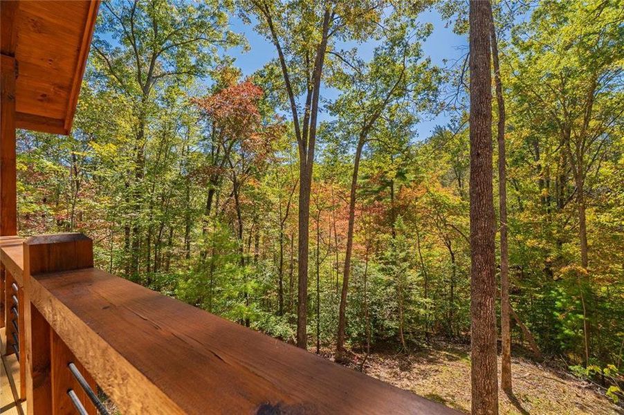 Natural landscape and outdoor views near  in Cherry Log (Image 22).