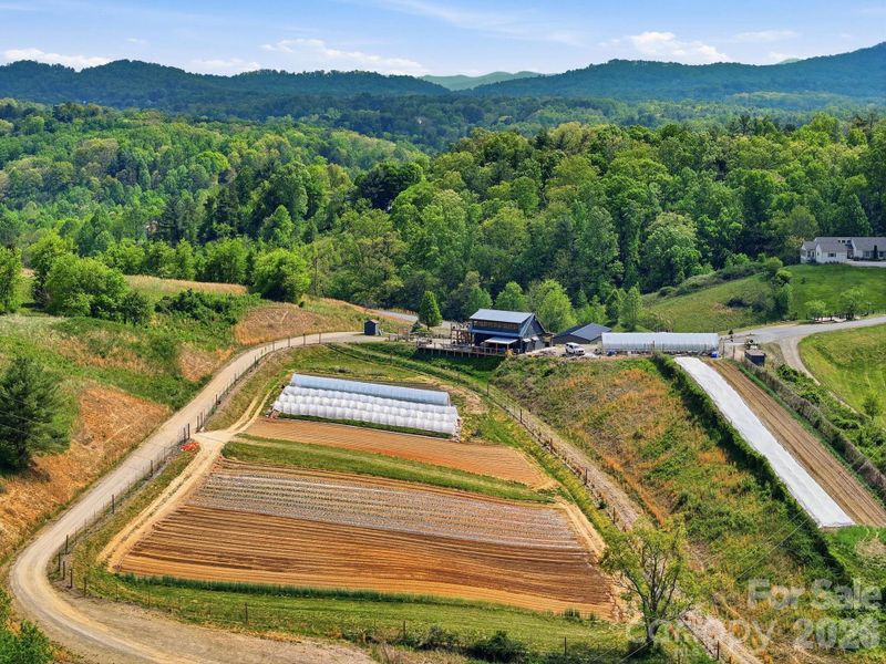 Olivette's working organic farm