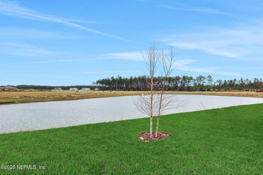 Natural landscape and outdoor views near  in St. Augustine (Image 31).