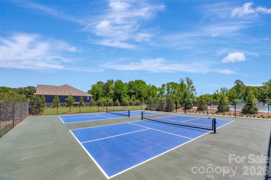 Pickleball court