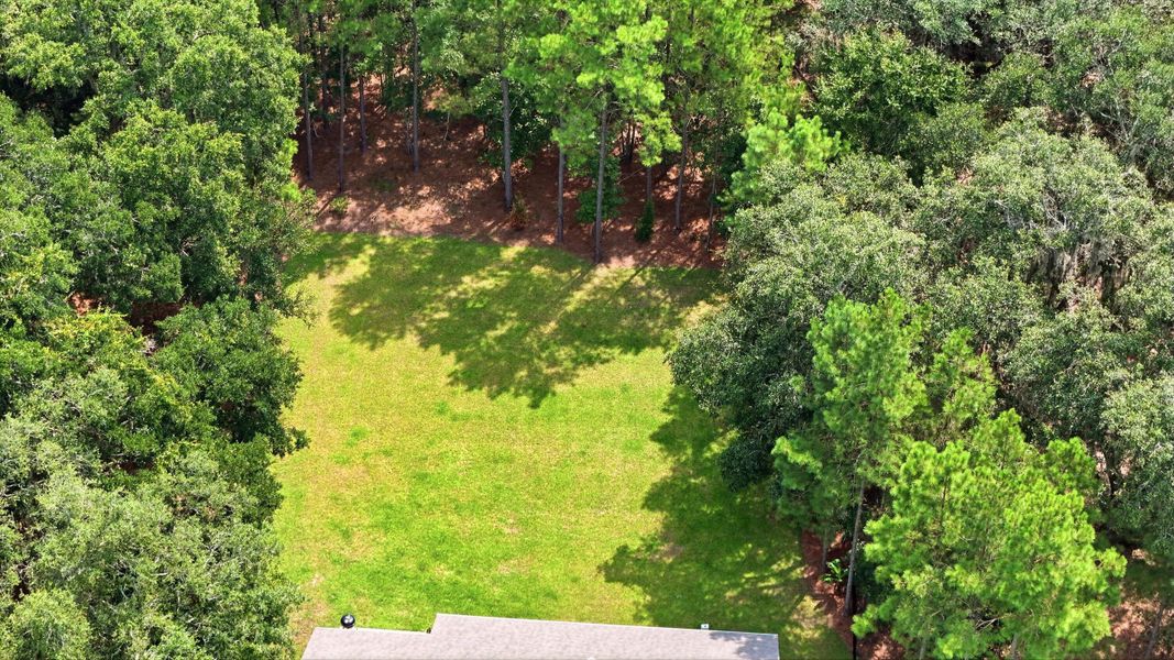 Natural landscape and outdoor views near in Johns Island (Image 63). Natural landscape and outdoor views near in Johns Island (Image 63).
