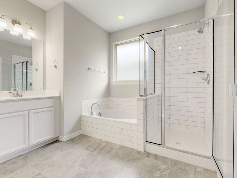 Owner's Bathroom