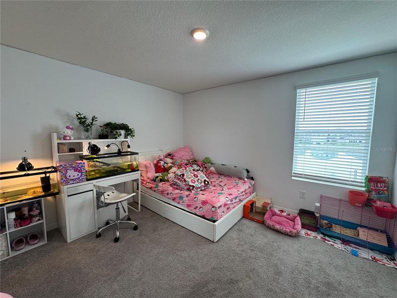 Furnished interior view inside a new home in Zephyr Ridge, Zephyrhills (Image 14).