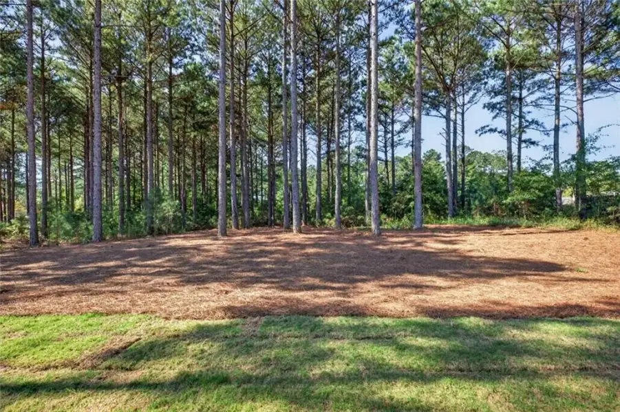 Natural landscape and outdoor views near in Dallas (Image 28). Natural landscape and outdoor views near in Dallas (Image 28).