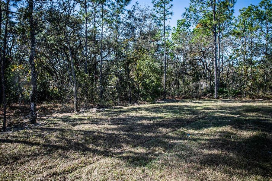 Exterior details and patio area of a home in , Weeki Wachee (Image 3).