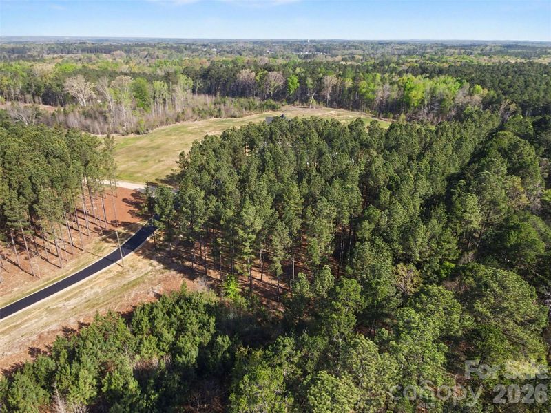 Natural landscape and outdoor views near  in Concord (Image 30).