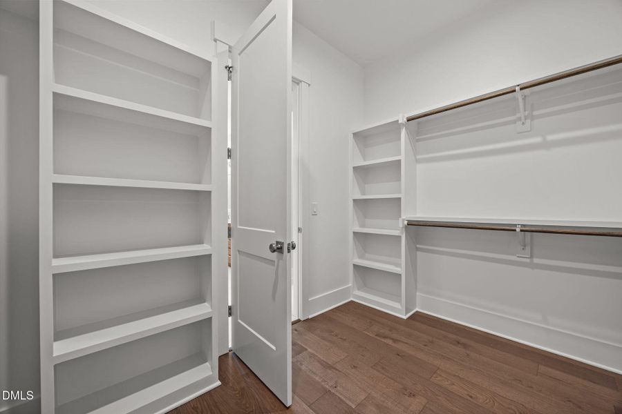 26-web-or-mls-2N6A4533