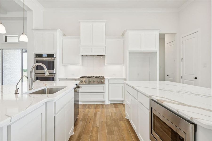 9-112Swan_013 9-112Swan_013