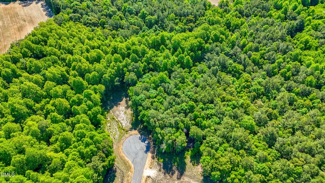 DJI_20260508100342_0375_D DJI_20260508100342_0375_D