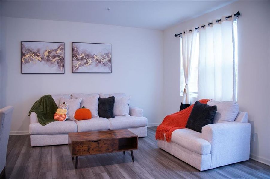 Furnished interior view inside a new home in , Palmetto (Image 11). Furnished interior view inside a new home in , Palmetto (Image 11).