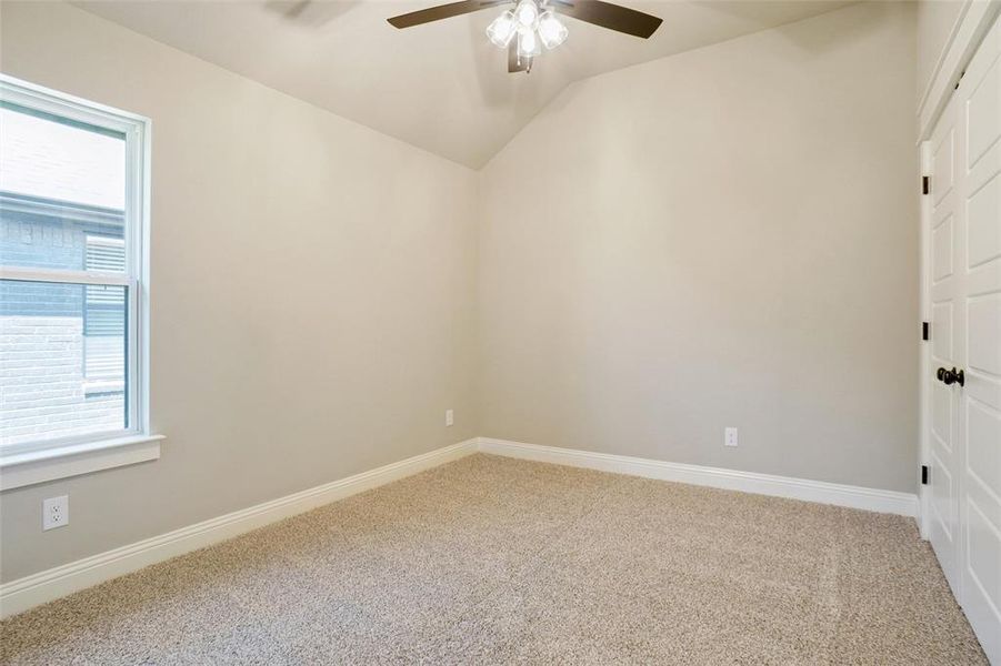 Carpeted spare room featuring a wealth of natural light and ceiling fan