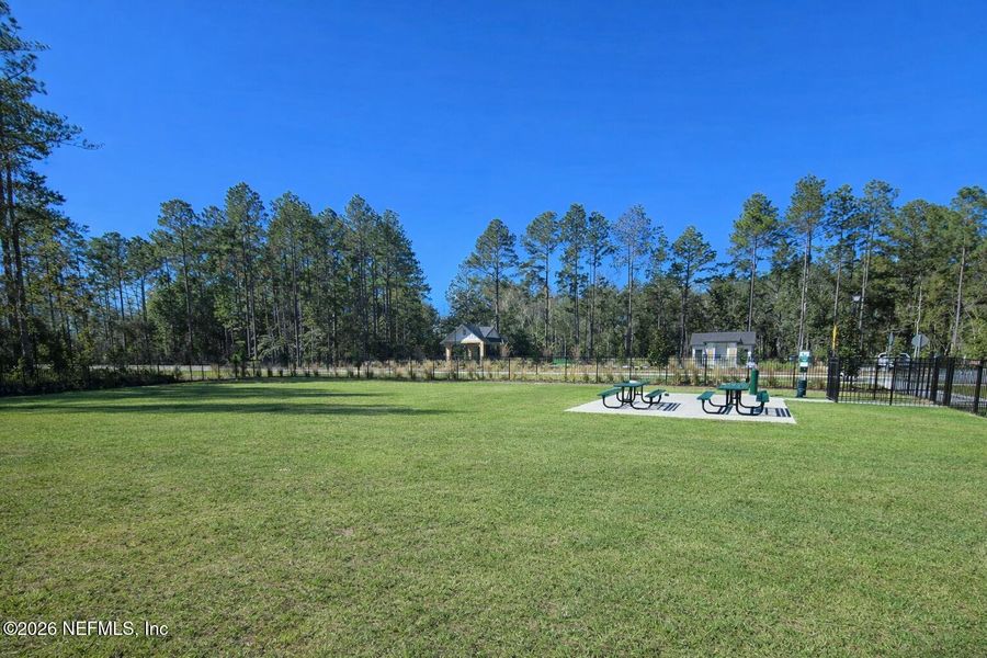 Natural landscape and outdoor views near Kings Preserve in Jacksonville (Image 33).