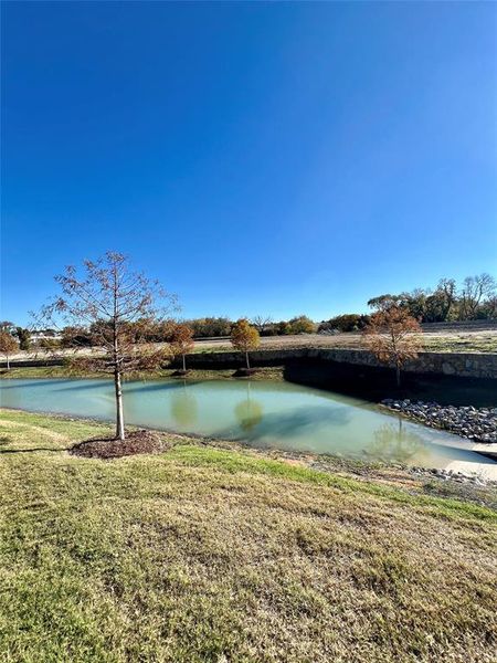 View of water feature from the back yard.