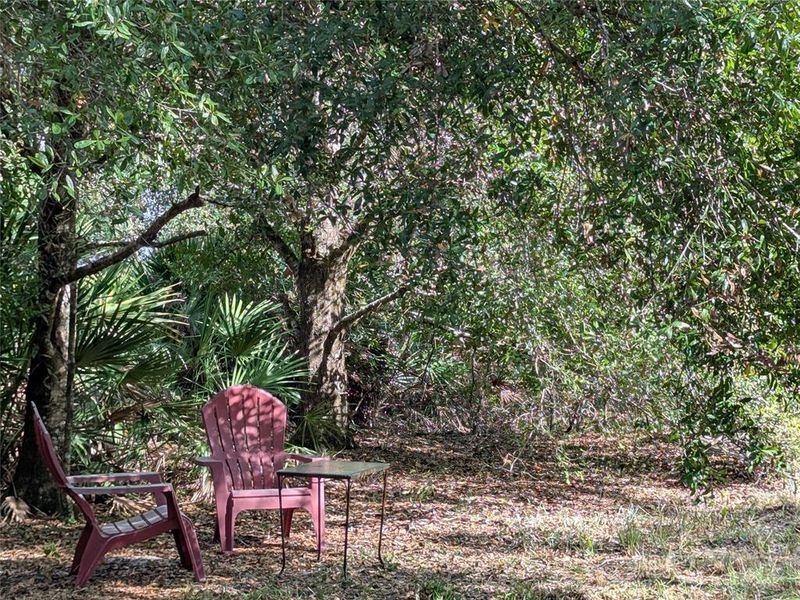 Natural landscape and outdoor views near  in Arcadia (Image 42).