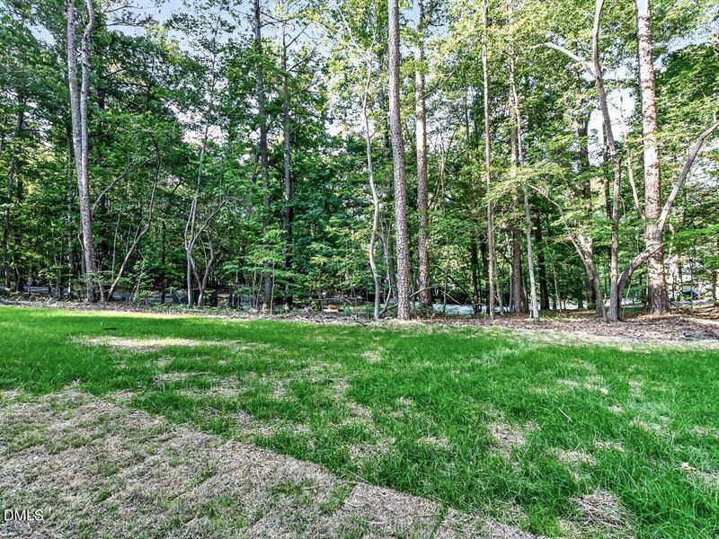 026-1280x960-back-yard