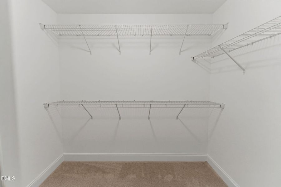 51-web-or-mls-DSC06028