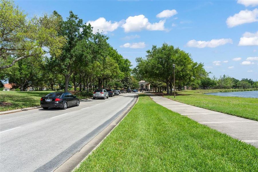 Natural landscape and outdoor views near in Kissimmee (Image 35). Natural landscape and outdoor views near in Kissimmee (Image 35).
