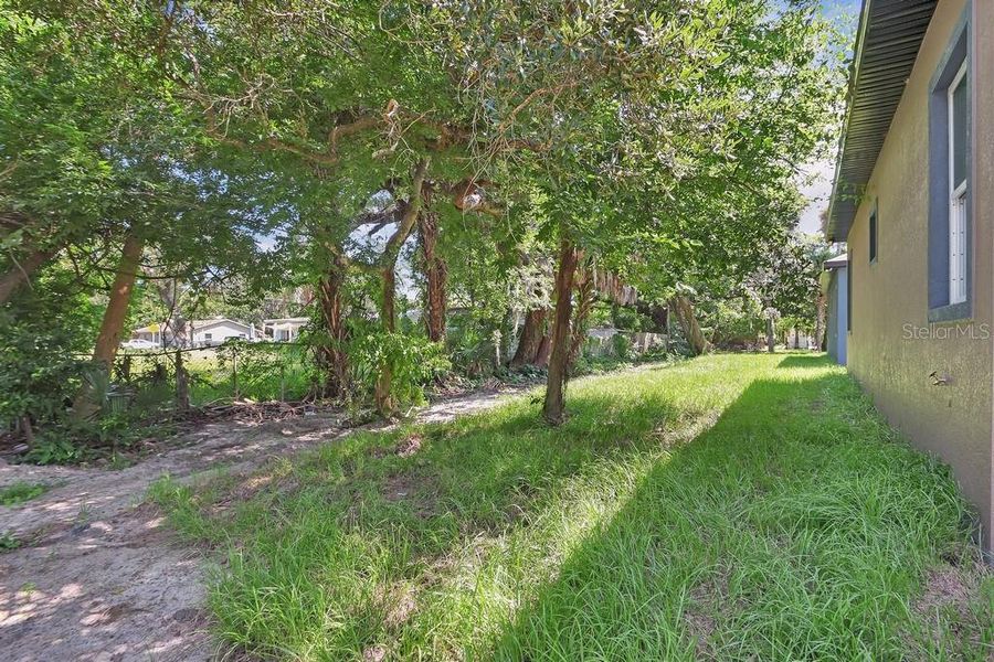 Natural landscape and outdoor views near  in Daytona Beach (Image 28).