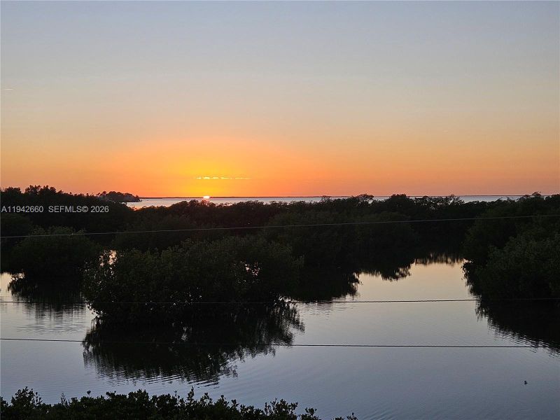 Natural landscape and outdoor views near  in Key Largo (Image 68).