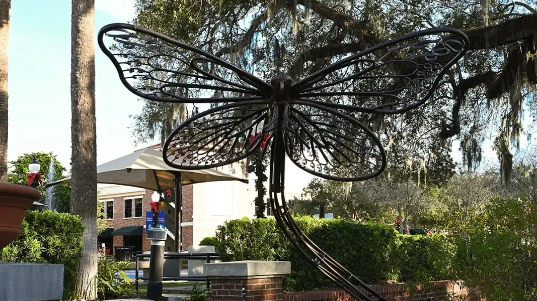 Image 29 of a home in Esplanade at McKinnon Groves.