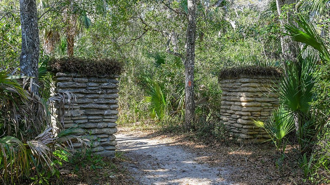 Natural landscape and outdoor views near Colbert Landings in Palm Coast (Image 91).