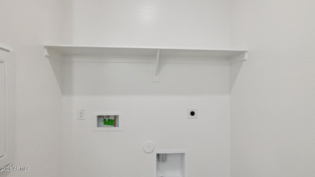 3985_Phoenician_Lot 2081_Aloravita_Peori 3985_Phoenician_Lot 2081_Aloravita_Peori