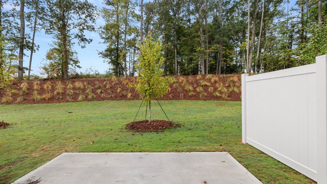 Image 40 representing the Salisbury by D.R. Horton in Independence Villas and Townhomes, Loganville, GA.