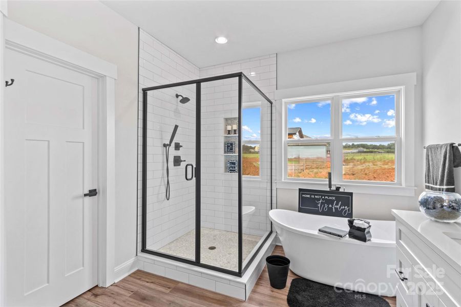 Glass shower & Roman soaking Tub in main Bath.