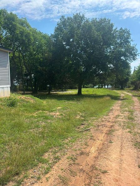 Natural landscape and outdoor views near  in Kemp (Image 12).
