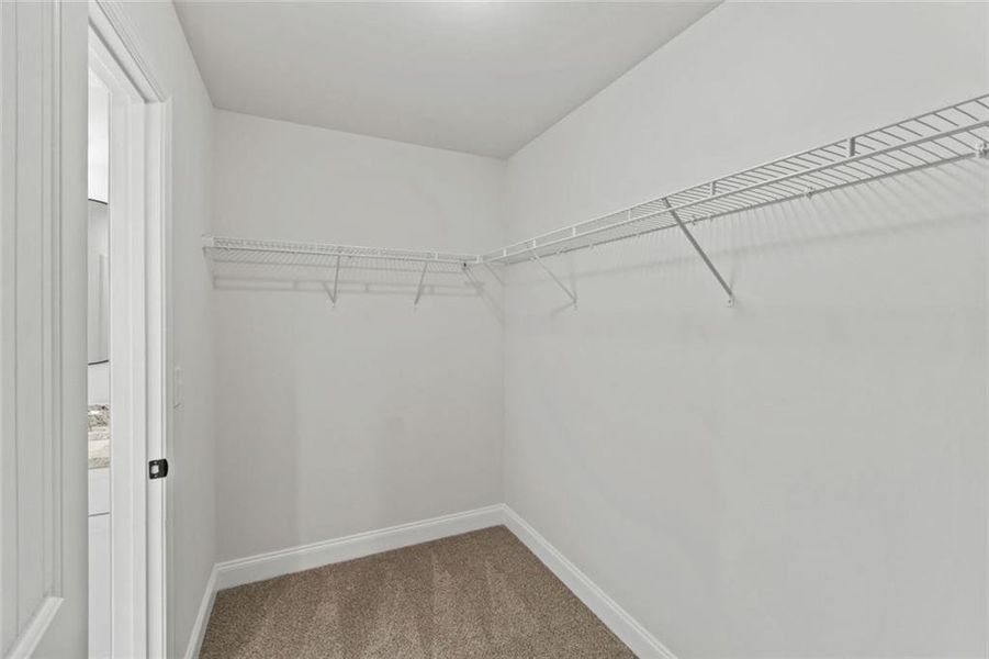 Spacious, unfurnished interior of a new home in , Alto (Image 29).