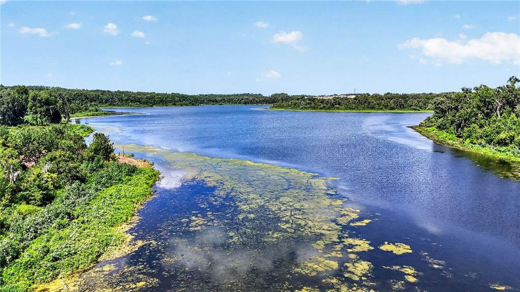 Natural landscape and outdoor views near  in Dade City (Image 58).