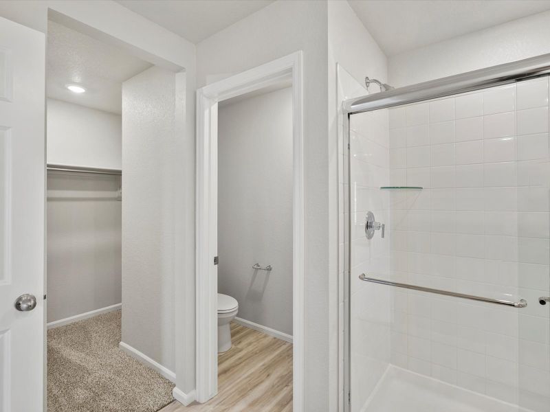 Welcome to the Fatiron floorplan. Welcome to the Fatiron floorplan.